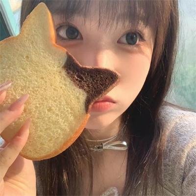 南极料理人
